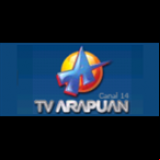 Radio TV Arapuan