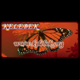 Radio Radio Kelebek
