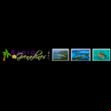 Radio Radio Grenadines